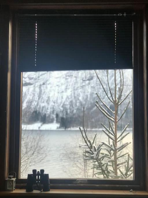 Apartment With Lake View In Jolster Årdal Exterior photo