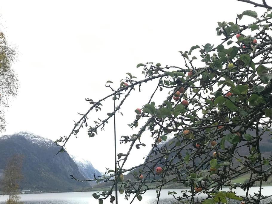 Apartment With Lake View In Jolster Årdal Exterior photo